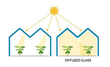 Diffused glass.jpeg