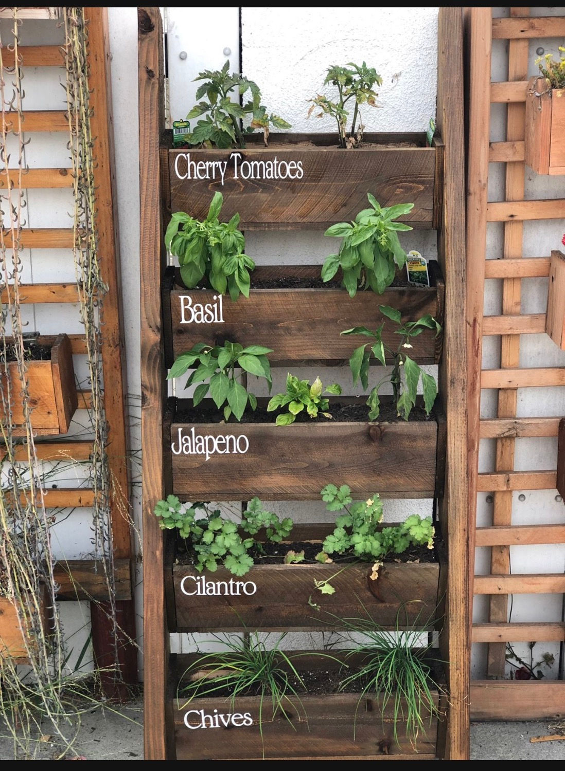 Herb Wall Planter