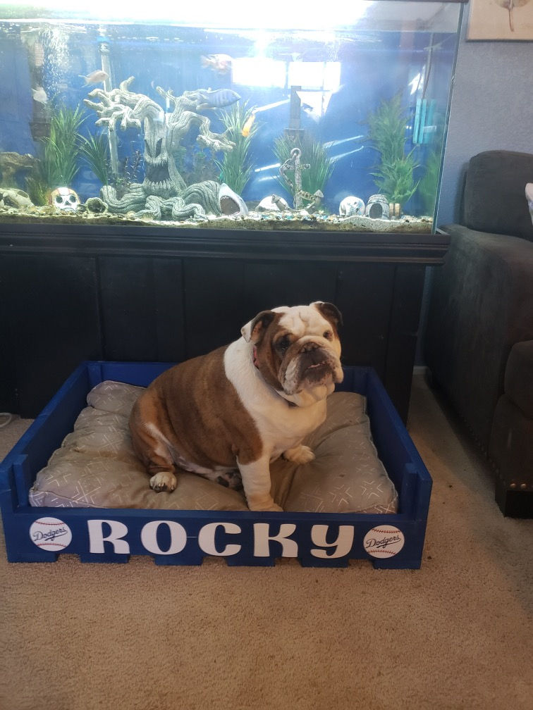 Thumbnail: Custom Dog Bed Frame 