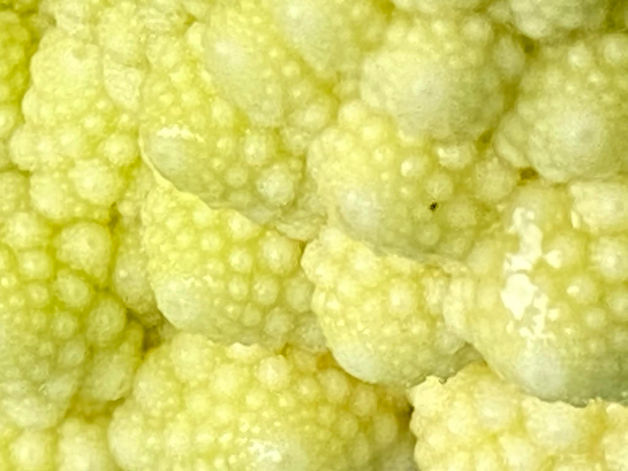 Romanesco.jpeg