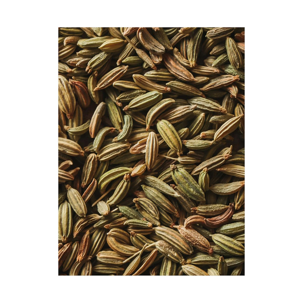 Thumbnail: Nuts + Seeds Series : Fennel | Matte Vertical Posters