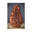 Thumbnail: Morel Mushroom | Original Photography Prints | Matte Vertical Posters