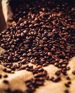 Coffee Photography in Dallas, Texas