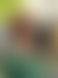 Five Small Ways Preserving Autonomy Protects Dignity in Caregiving