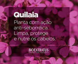 BIO-27-Post_Quilaia-FB.png