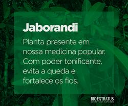 BIO-17_Jaborandi-FB (1).png