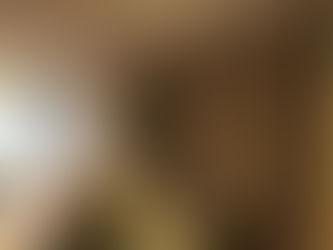 Instalación de Papel estilo Clásico