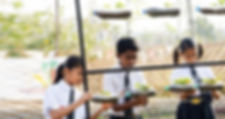 Humanity We Innovation Education.png.jpg