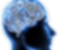 Behavioral Neuroscience trans.png