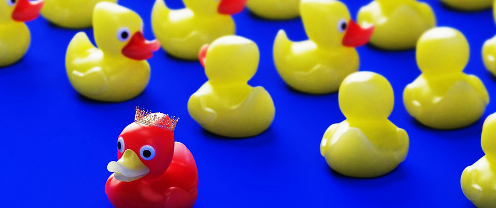 Innovation differentiates from competitors.
