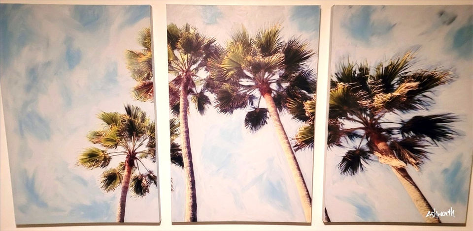 Peter Ashworth Art - Nyes Palms.(studio photography)