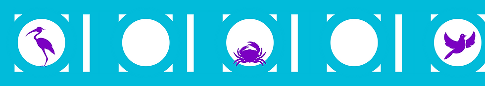 CA.png