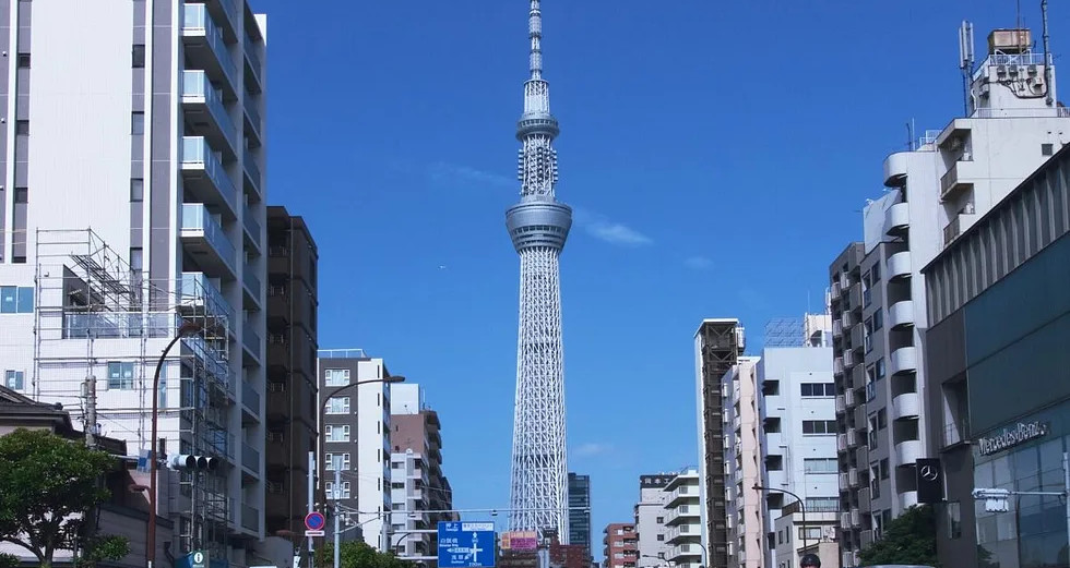 Tokyo-tree (1).jpg