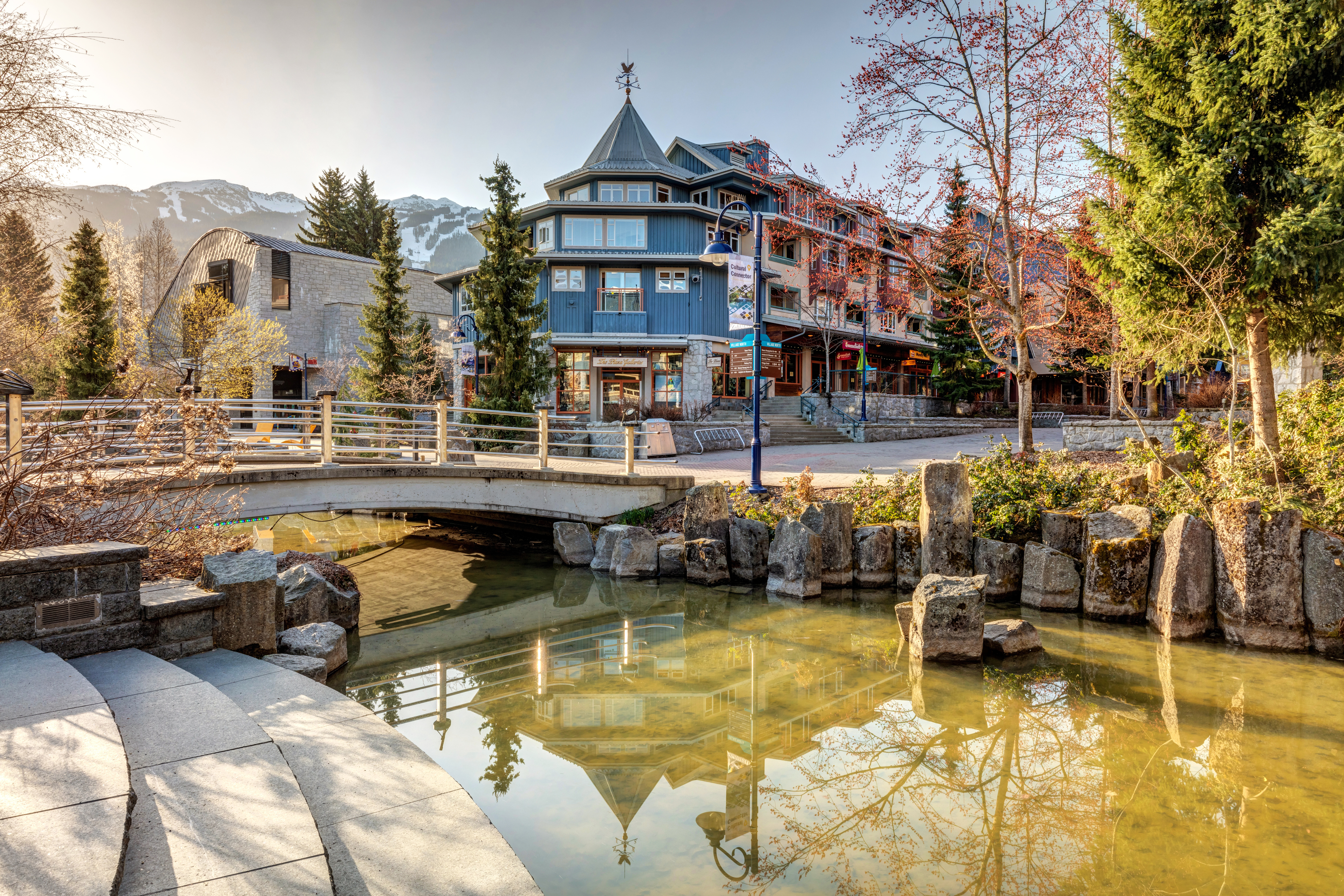 Whistler Trips & Ferry Transfers