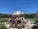 a group of happy woman on retreat in Mt Shasta, California