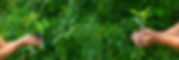 AdobeStock_443612528.jpeg
