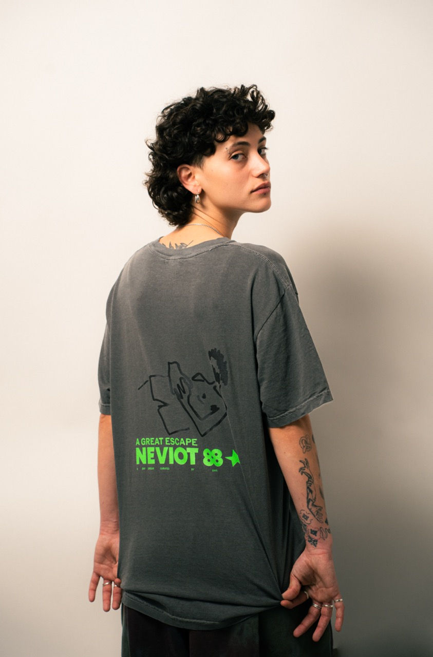 DWR GREY ROM T 05.jpeg