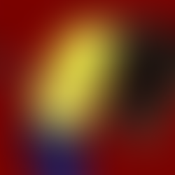 An Illness Silenced: The Systemic Neglect of Endometriosis.