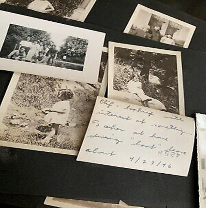 Sentences on Sentience