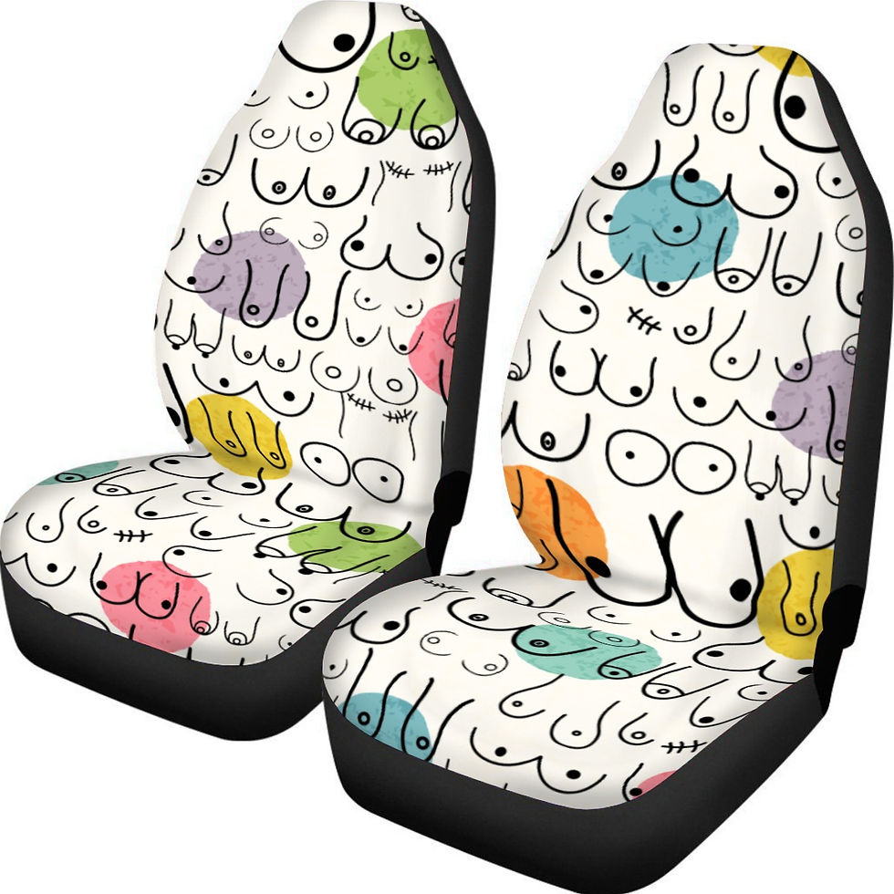 Plush Micro Fiber Seat Covers | All Boobies Matter Pastel Polka Dots for Car