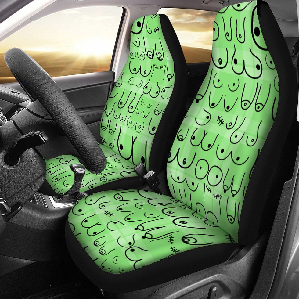 Plush Micro Fiber Seat Covers | All Boobies Matter Pale Green Plaid