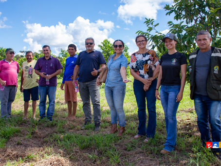 Mâncio Lima se torna vitrine para outras cidades na diversificação da agricultura familiar