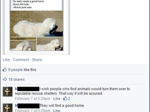 “Sickening”