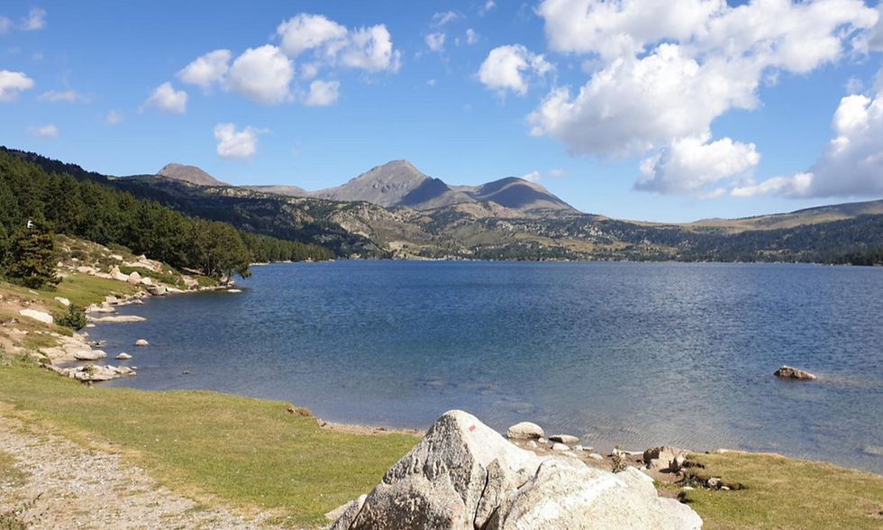 LES BULLOSES (OPCIÓ CARLIT)