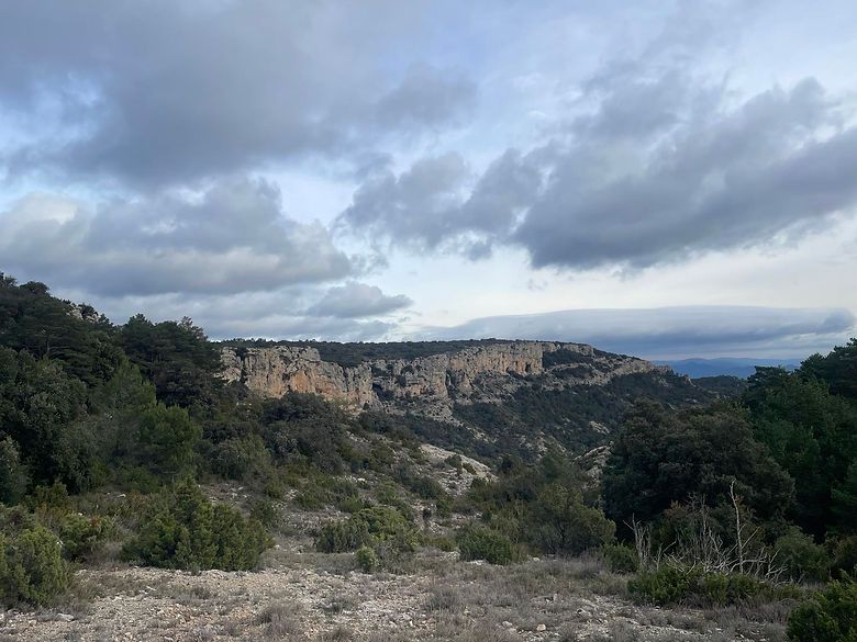 1120 La Mussara.jpg