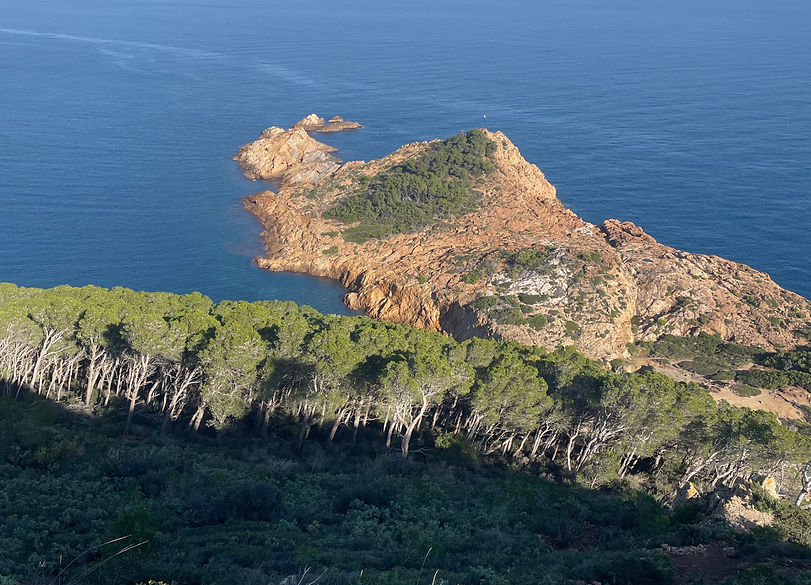 1218-TamariuBegur_edited.jpg