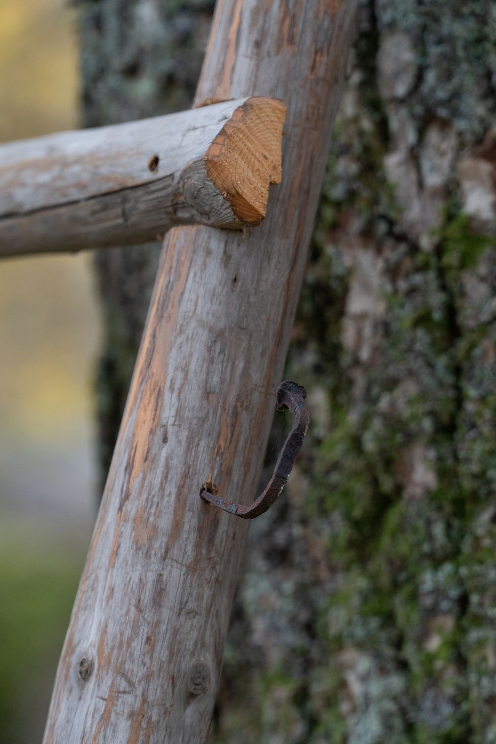 Miniatyrbild: Stege
