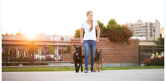 Method K9 Dog Training