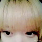 tumblr_nc0o24FWYG1rnh969o1_250.gif