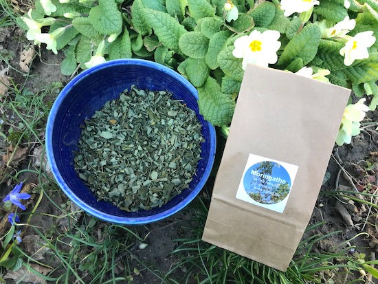 Miniaturebillede: Moringa te 100% ren te uden kunstige tilsætningsstoffer