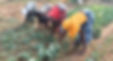 0b46c002-8845-4272-8e48-74f041a9fdf4-kopi_edited_edited_edited.jpg