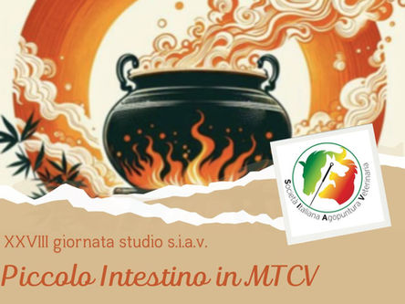 XXVIII GIORNATA STUDIO S.I.A.V.