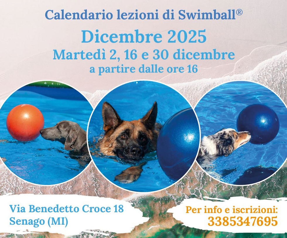LEZIONI DI SWIMBALL