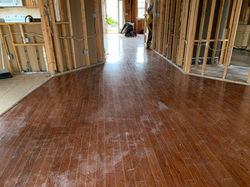 hardwood-FL01-BEFORE