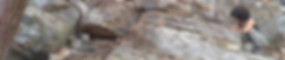 cabbagepatch_actionshot_edited.jpg