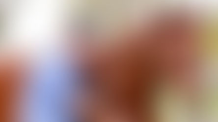 Equine first aid kit essentials