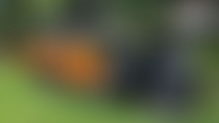 Classic car event honors Gold Star Families at Ann Norton Sculpture Gardens