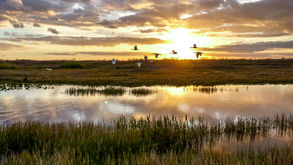 State deal conserves Okeechobee land