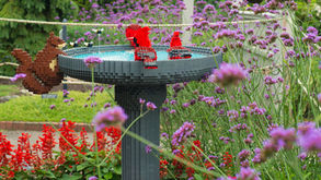 Mounts Botanical Garden ‘Pops’ with Lego Life