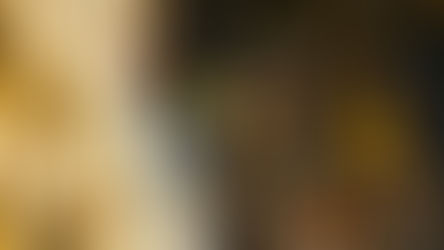 Okeeheelee Park holiday light show benefits local families