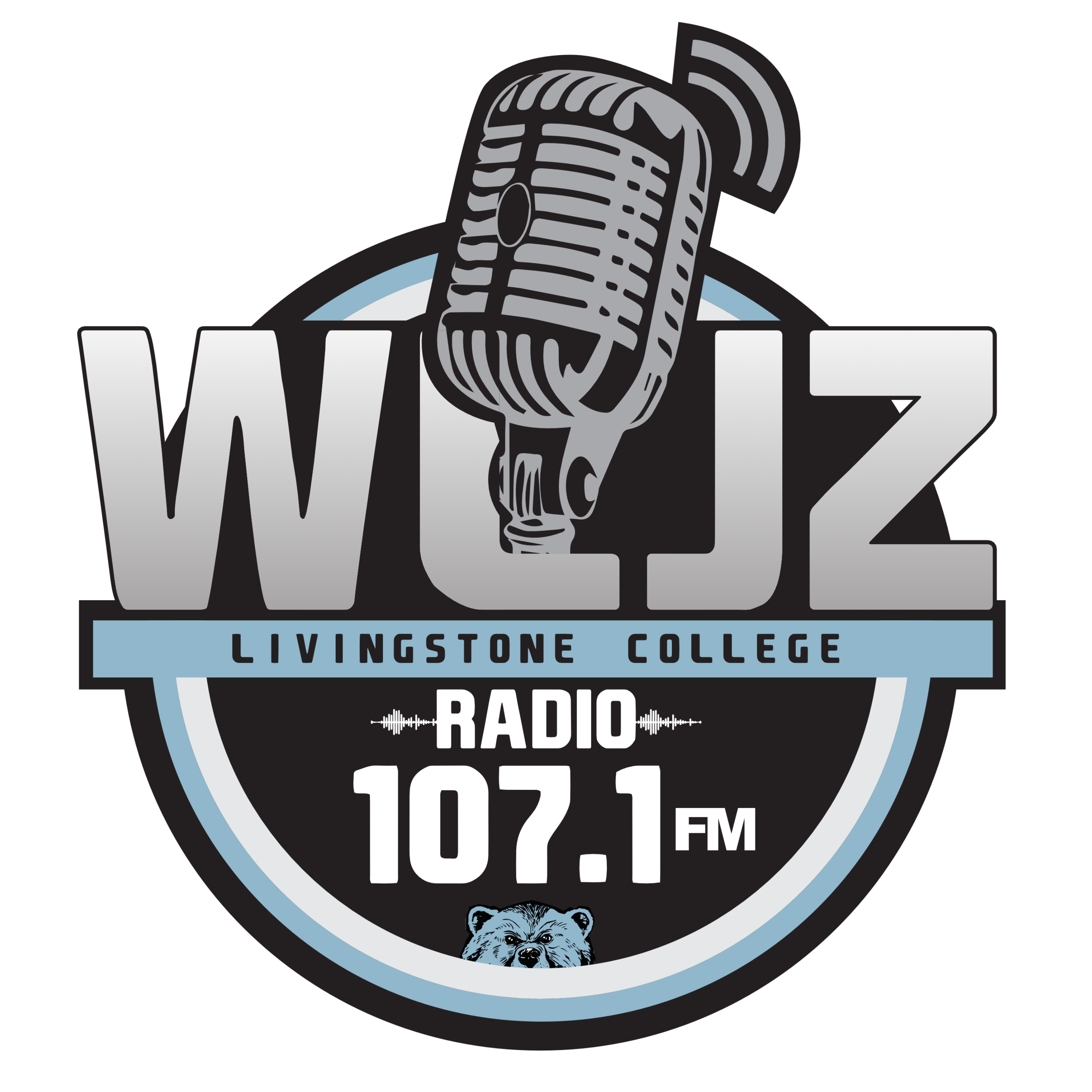 Radio Station WLJZ 107.1 fm United States