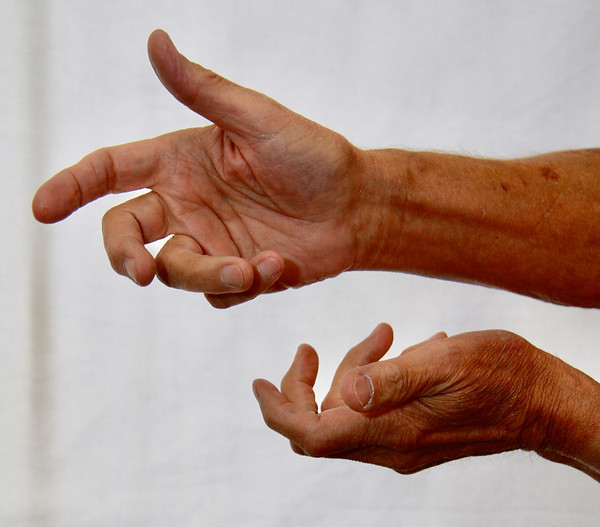 Fritz's Hands photographed by Geovani Pescetti