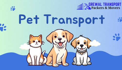 pet transport