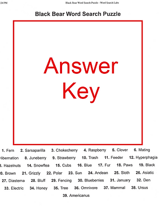 BearTeam Word Search Puzzle Answer Key.png