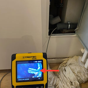 Endoskopie mit Schraube_edited.jpg