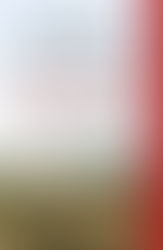 Bestselling History Author Releases Next Novel